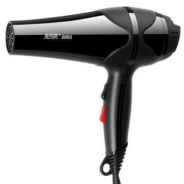 Professional Hair Dryer