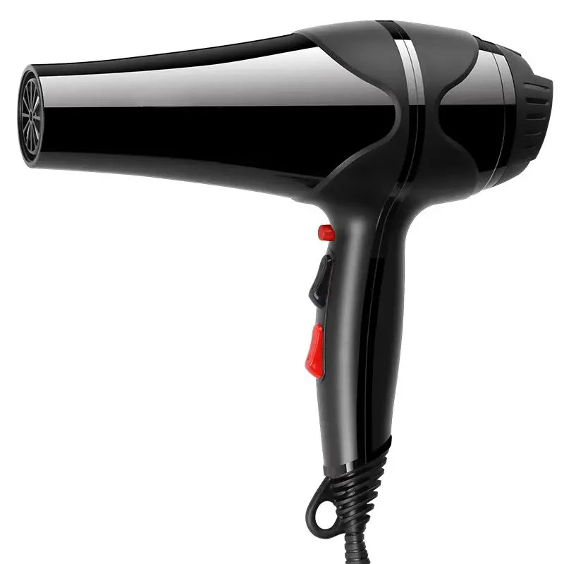 Professional Hair Dryer